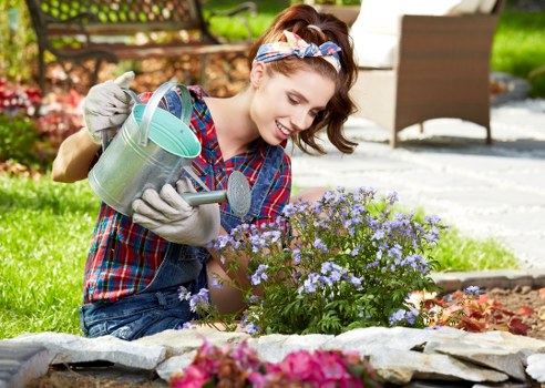 Free quote discussion for tree care near Wimbledon properties