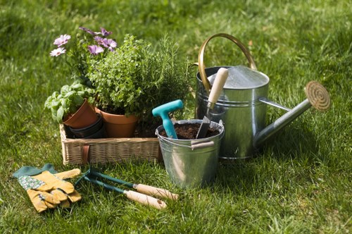 Local tree reduction service for a residential garden in Wimbledon