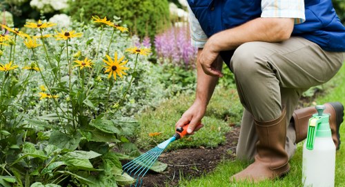 Legal service terms displayed alongside arborist safety and compliance themes