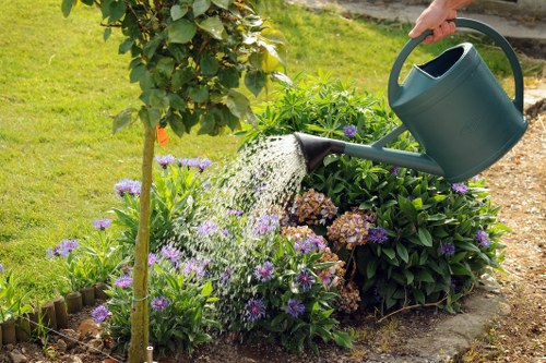 Healthy landscaped trees in Wimbledon after professional care